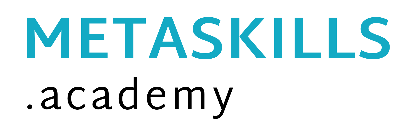 METASKILLS.academy